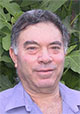פרופסור אבינעם דנין - Prof. Avinoam Danin
