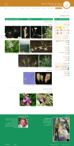 Guide4