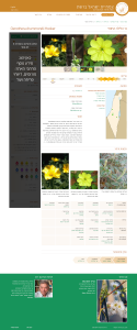 Plant page_01